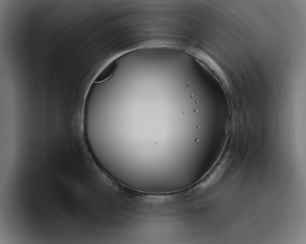 X0000096710860200802191507