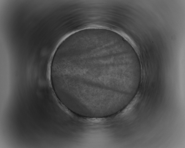 X0000096710862200802191507