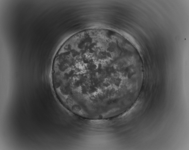 X0000096710863200802191507