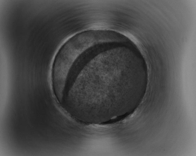 X0000096710864200802191507