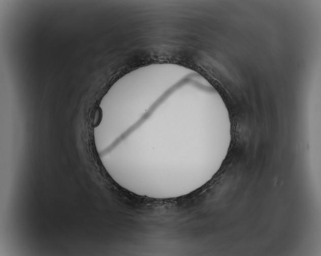 X0000096710865200802191506