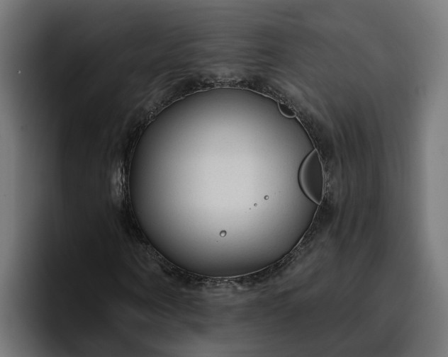 X0000096710866200802191506