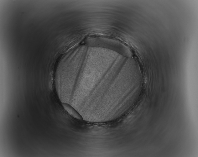 X0000096710868200802191506