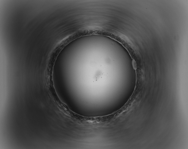 X0000096710872200802191506