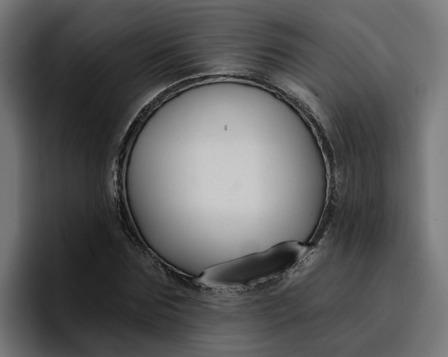 X0000096710875200802191506