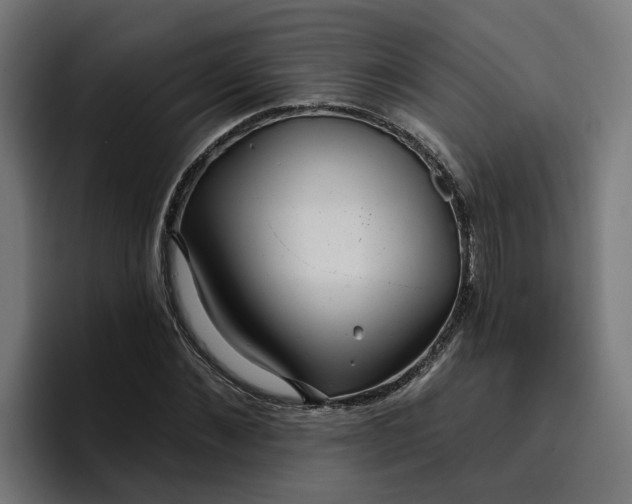 X0000096710876200802191506