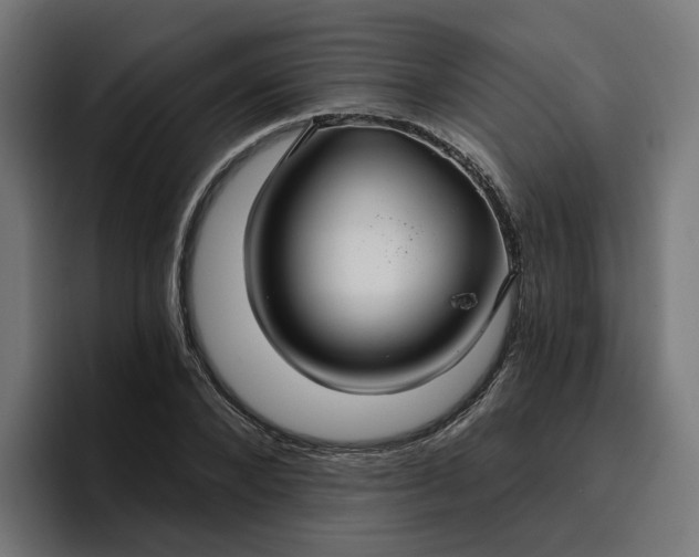 X0000096710880200802191506