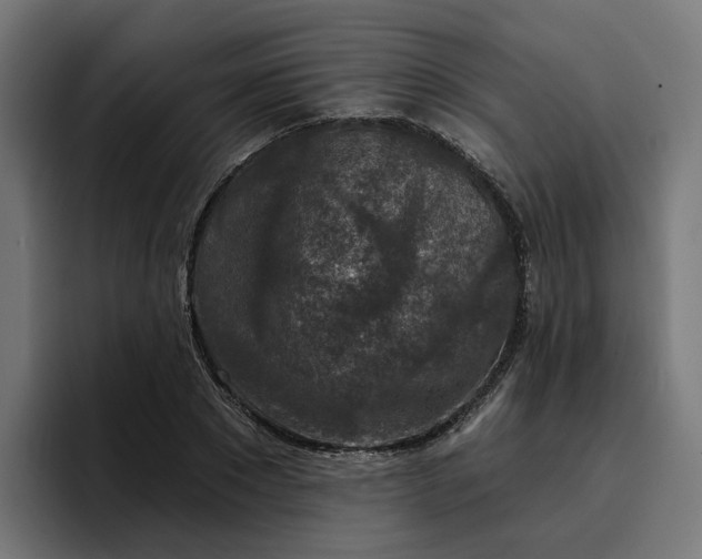 X0000096710881200802191506