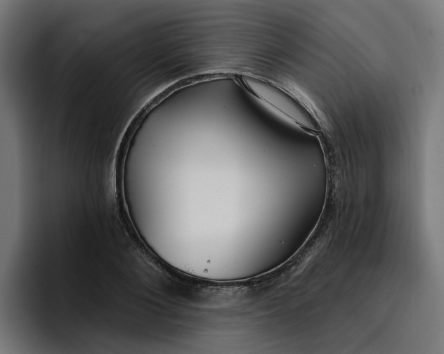 X0000096710884200802191506