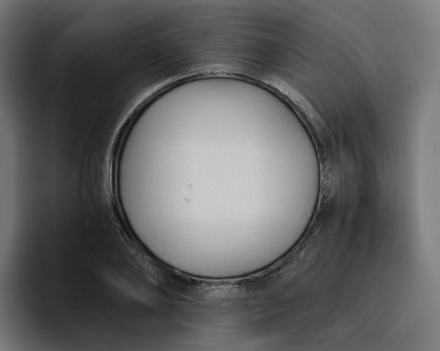 X0000096710886200802191506