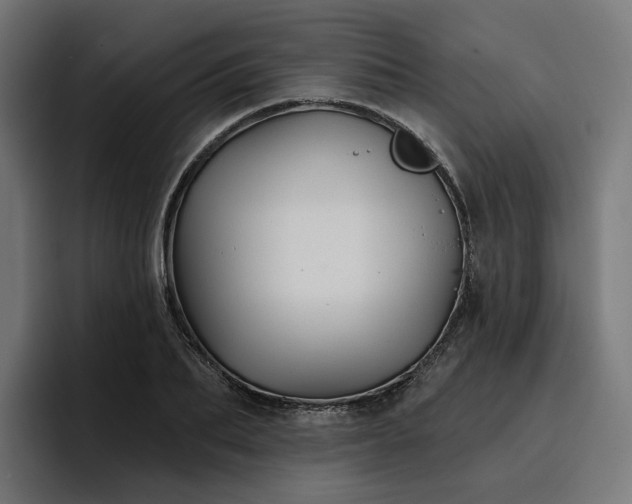 X0000096710887200802191506