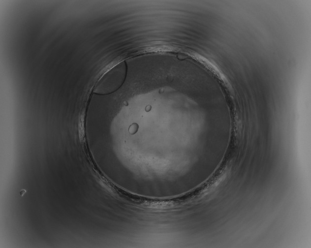 X0000096710889200802191506