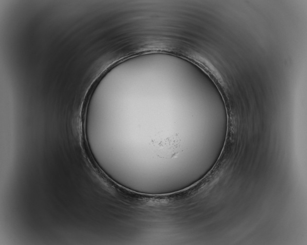 X0000096710890200802191506