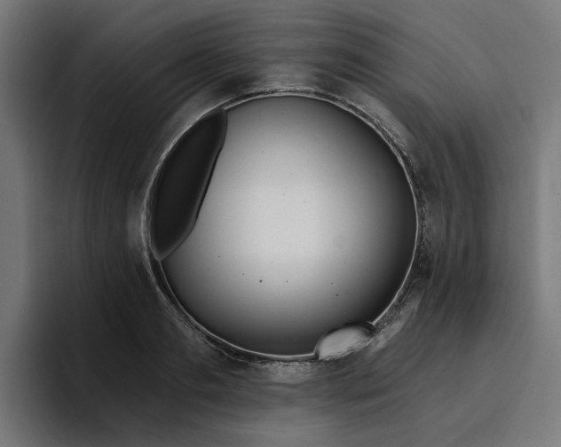 X0000096710893200802191506