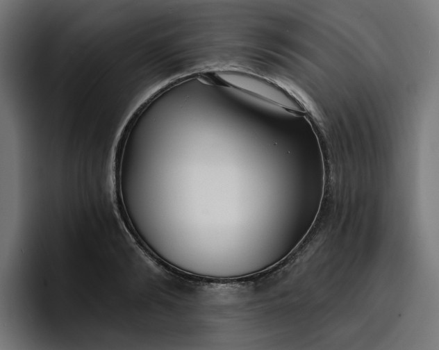 X0000096710894200802191506