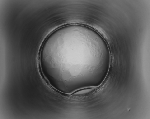 X0000096710895200802191506