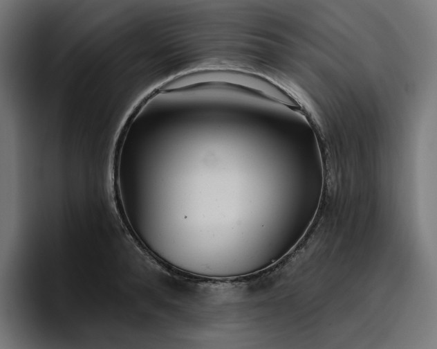 X0000096710896200802191506