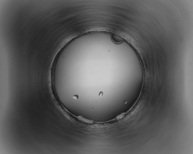 X0000096710898200802191506