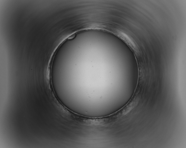 X0000096710900200802191506