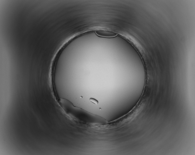 X0000096710902200802191506