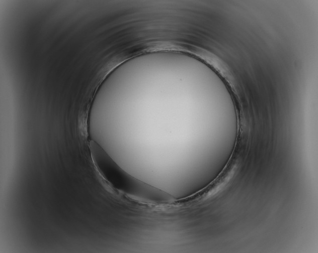 X0000096710905200802191506