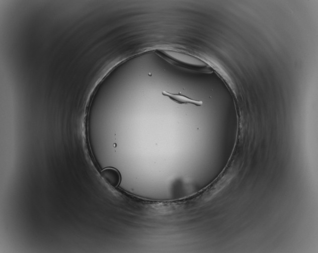 X0000096710906200802191506