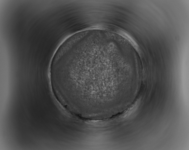 X0000096710907200802191506