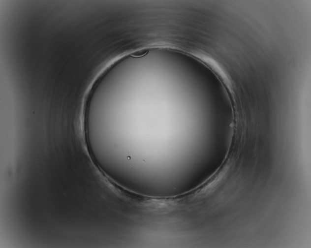 X0000096710910200802191506