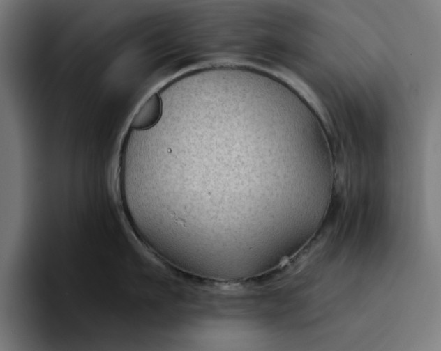 X0000096710911200802191506