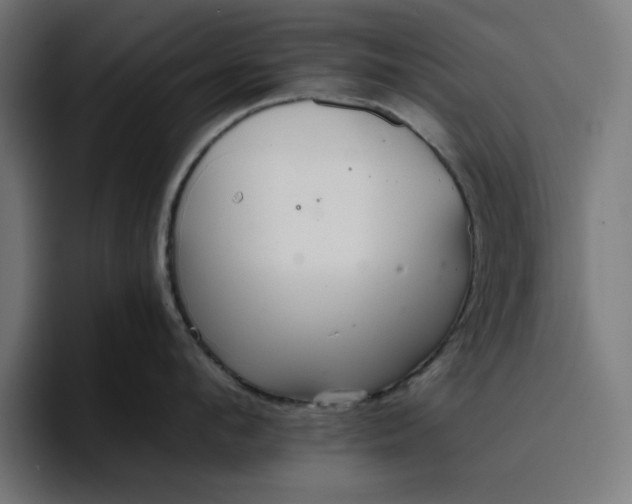 X0000096710912200802191506