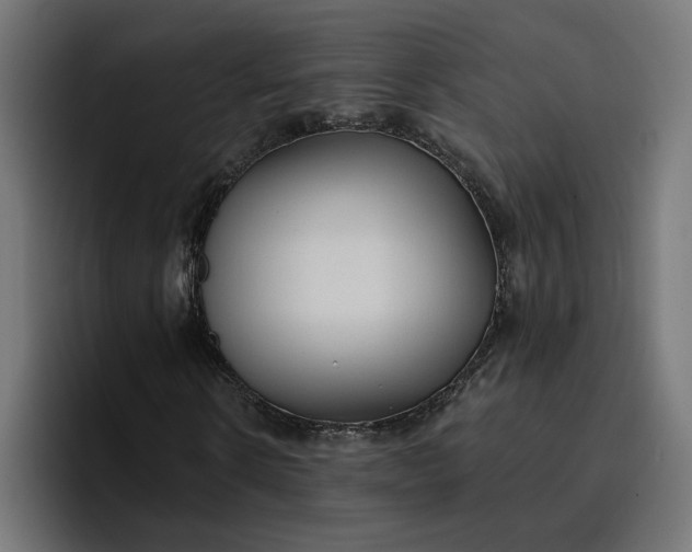 X0000096710914200802191505