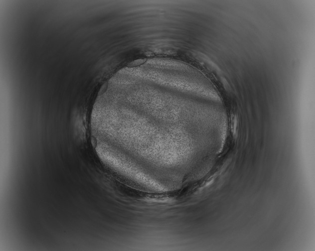 X0000096710915200802191505