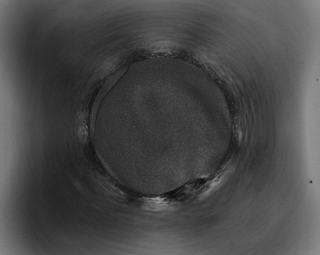 X0000096710916200802191505