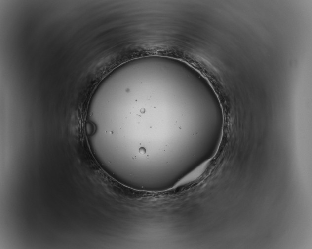 X0000096710917200802191505