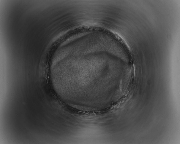 X0000096710919200802191505