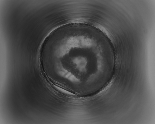 X0000096710923200802191505