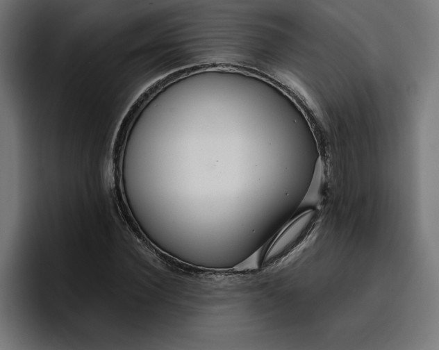 X0000096710924200802191505