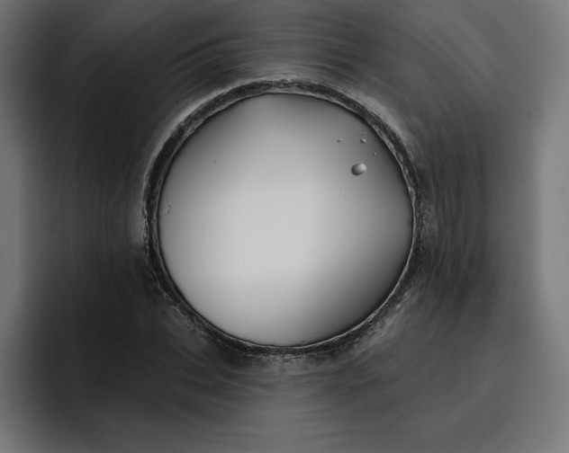 X0000096710927200802191505