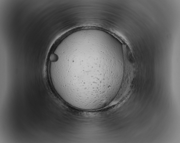 X0000096710928200802191505