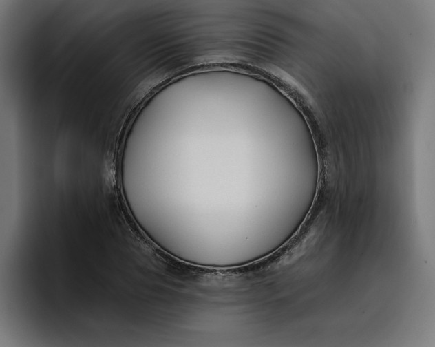 X0000096710929200802191505