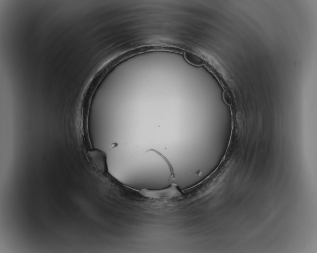 X0000096710931200802191505