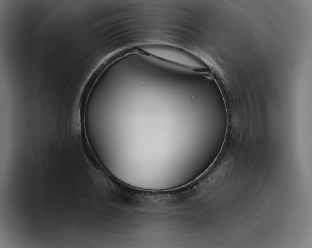 X0000096710934200802191505