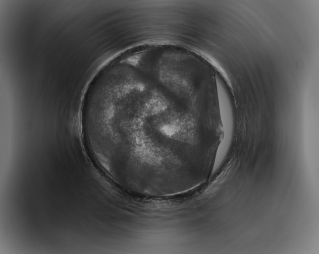 X0000096710935200802191505