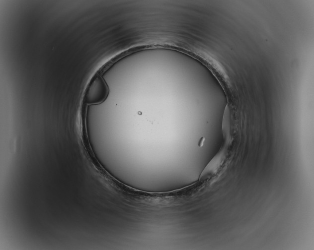 X0000096710936200802191505