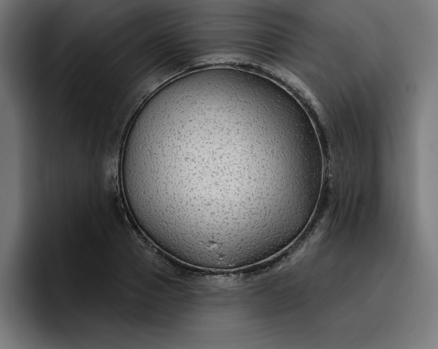 X0000096710937200802191505