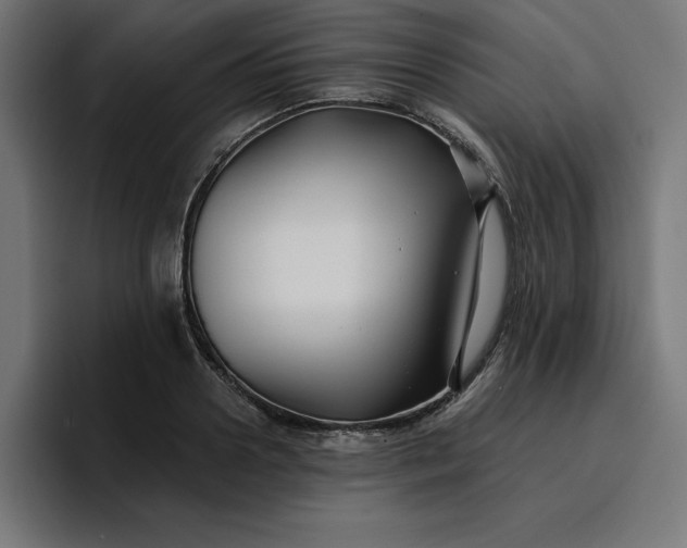 X0000096710938200802191505