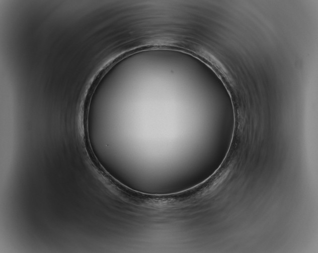 X0000096710939200802191505