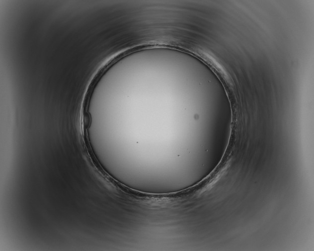 X0000096710940200802191505