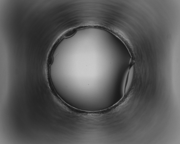 X0000096710942200802191505