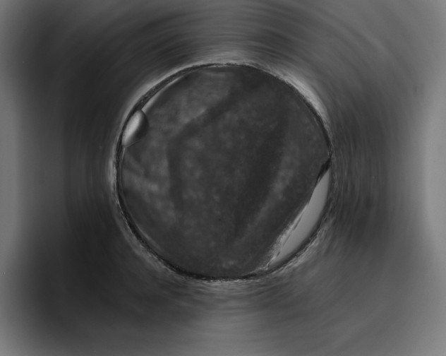 X0000096710944200802191505